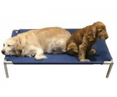 PET ASSIST Off the floor dog beds