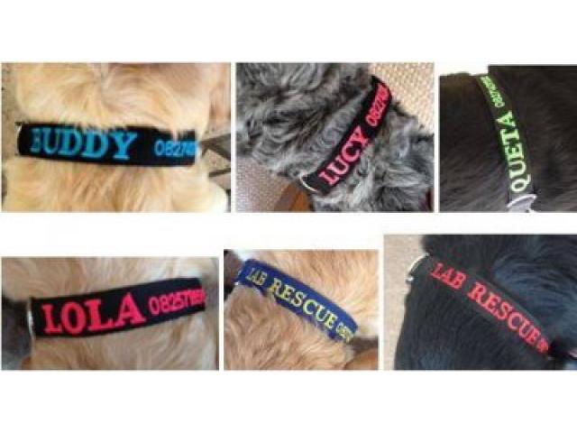 Custom Made Personalised Identification Collars For Pets