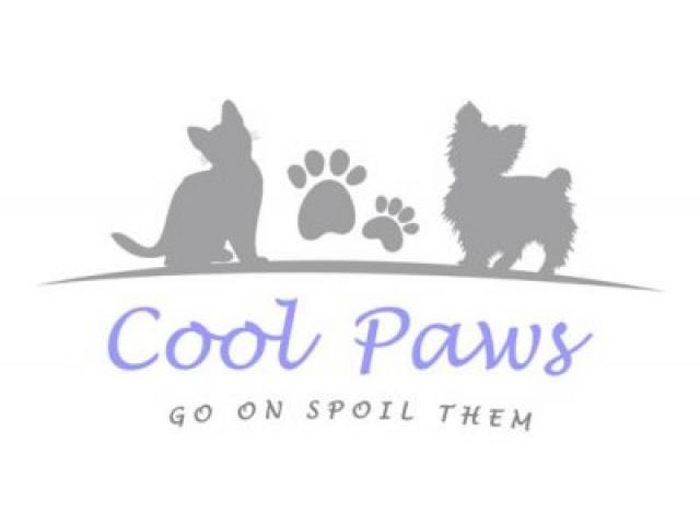 Cool Paws